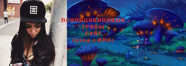тгк Михайловск